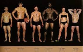 Body shape and health for athletes