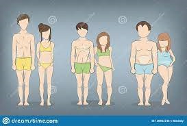 Body shape and health for underweight individuals
