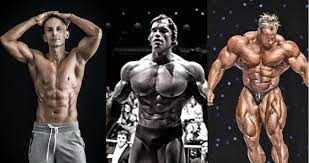 Body shape and health for bodybuilders