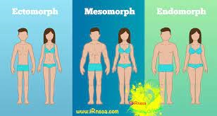 Body shape and health for specific body types