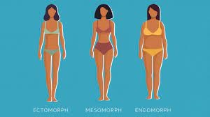 Body shape and health for slim body types