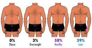 Body shape and health for balanced proportions