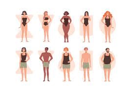 Key factors influencing body shape and health
